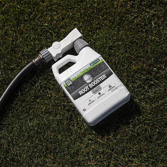 Root Booster