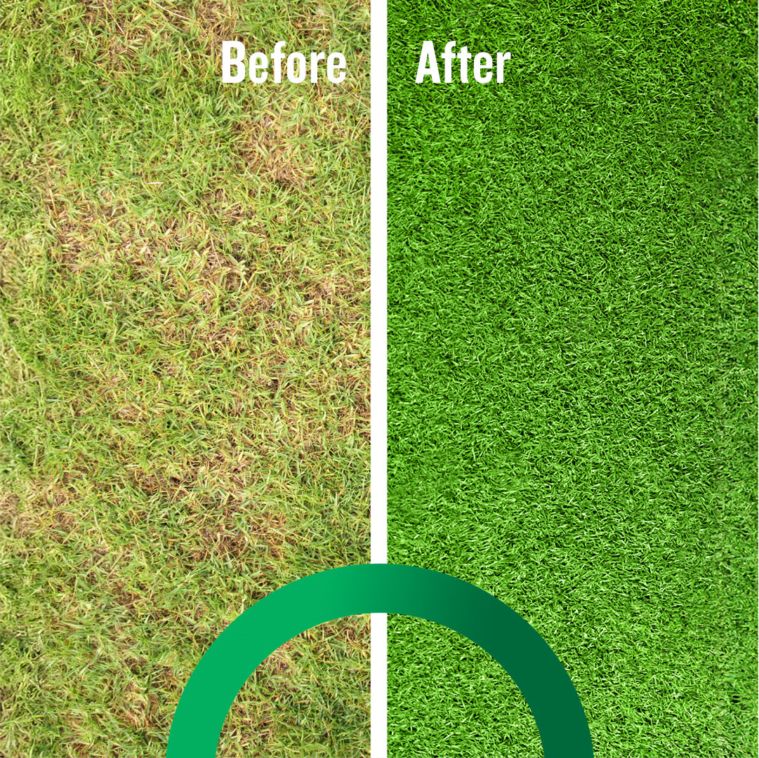 Root Booster