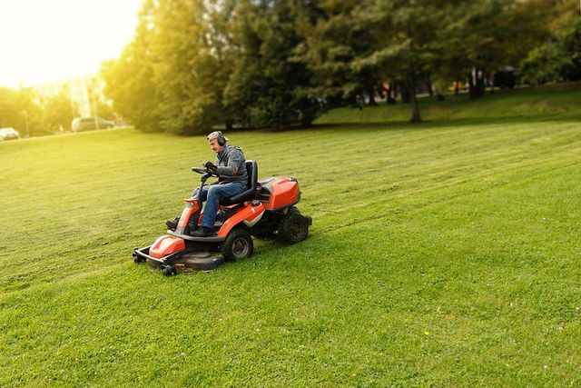 How Often Should You Mow Your Lawn?