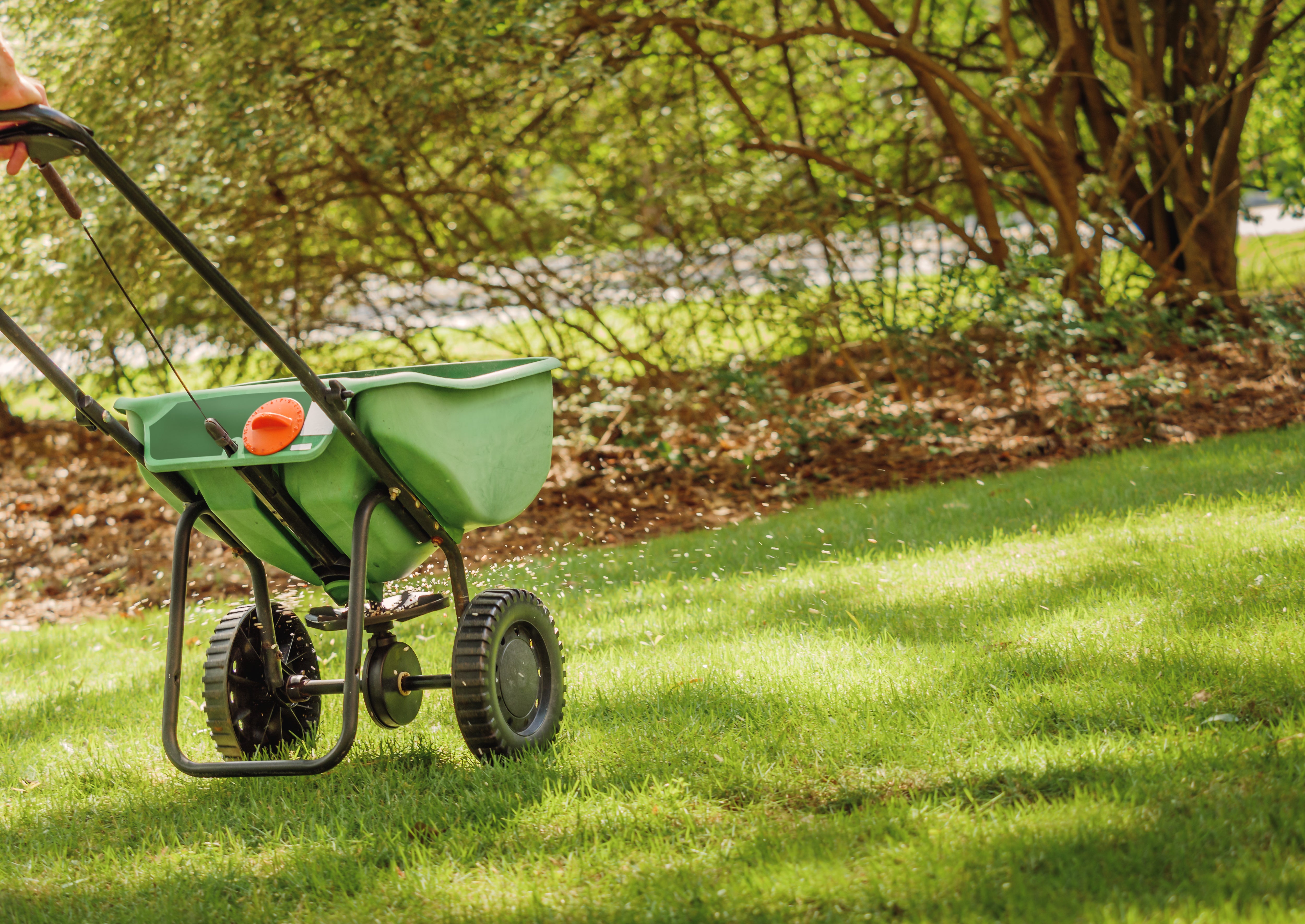 How To Overseed Your Lawn