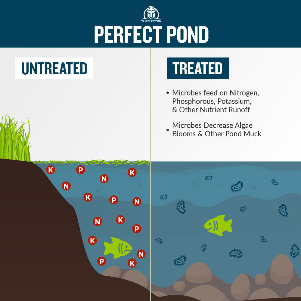 Pond Perfecter